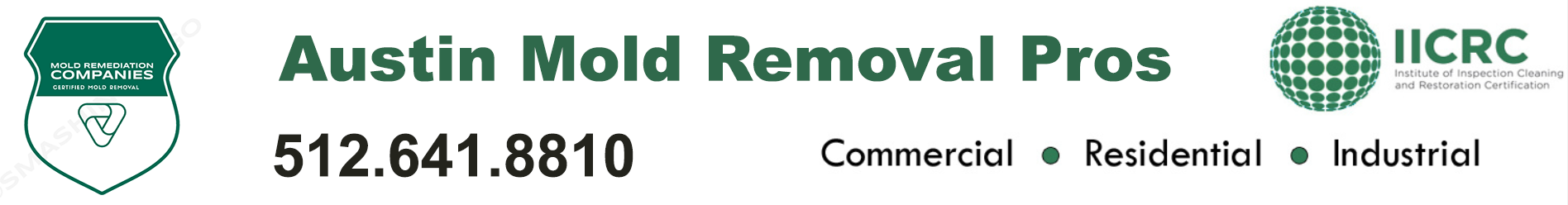 Austin Mold Removal Pros