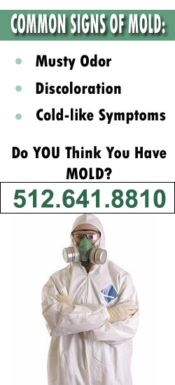 Austin Mold Remediation Contractor